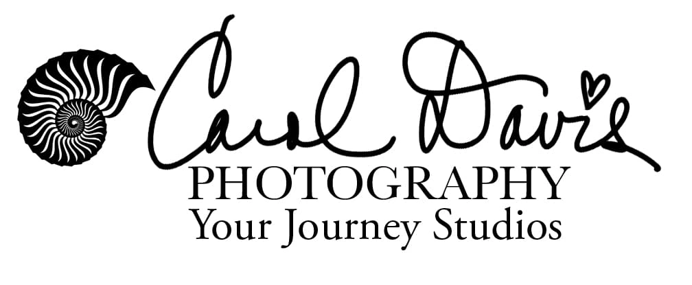 Photography studio logo with a nautilus shell design.